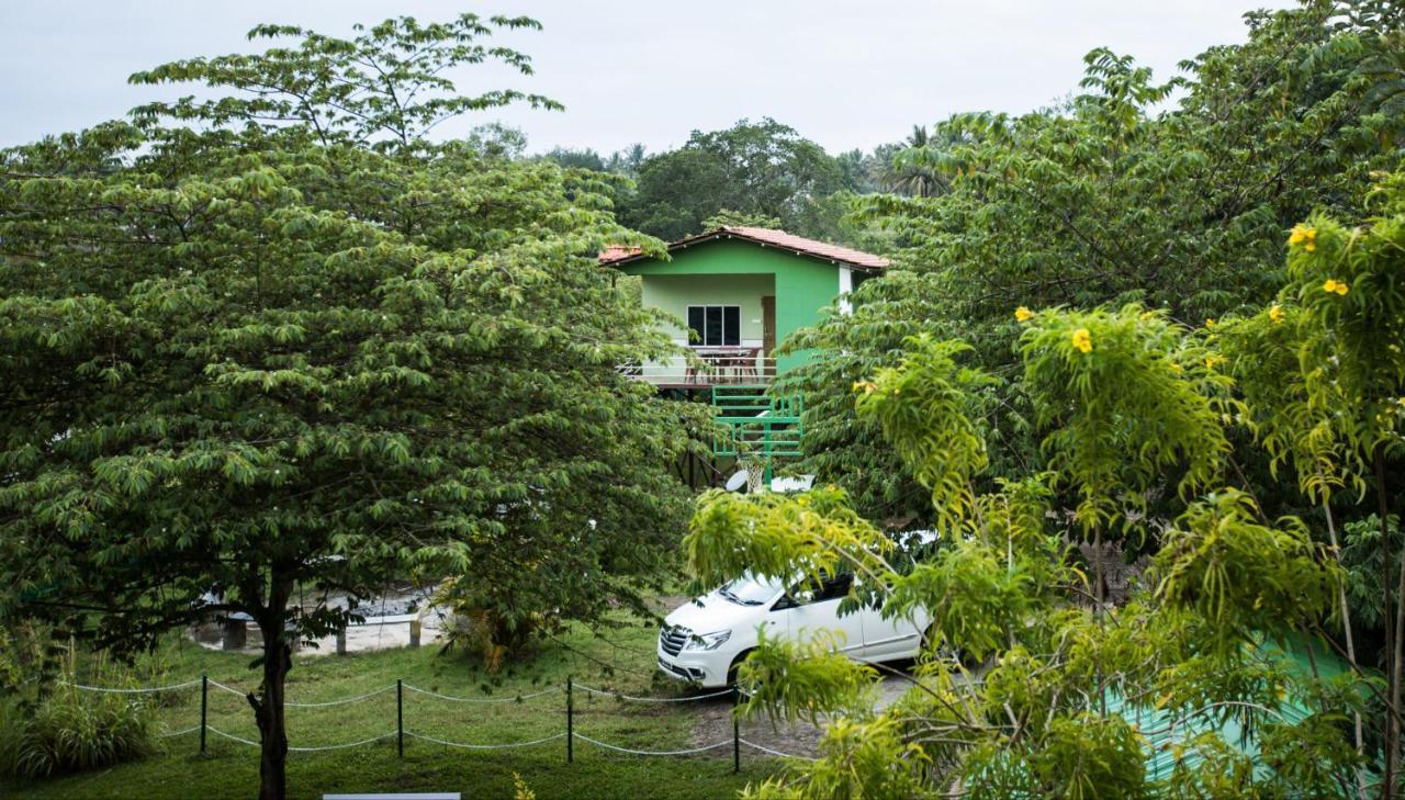 The Midway Jungle Resort Масинагуди Екстериор снимка