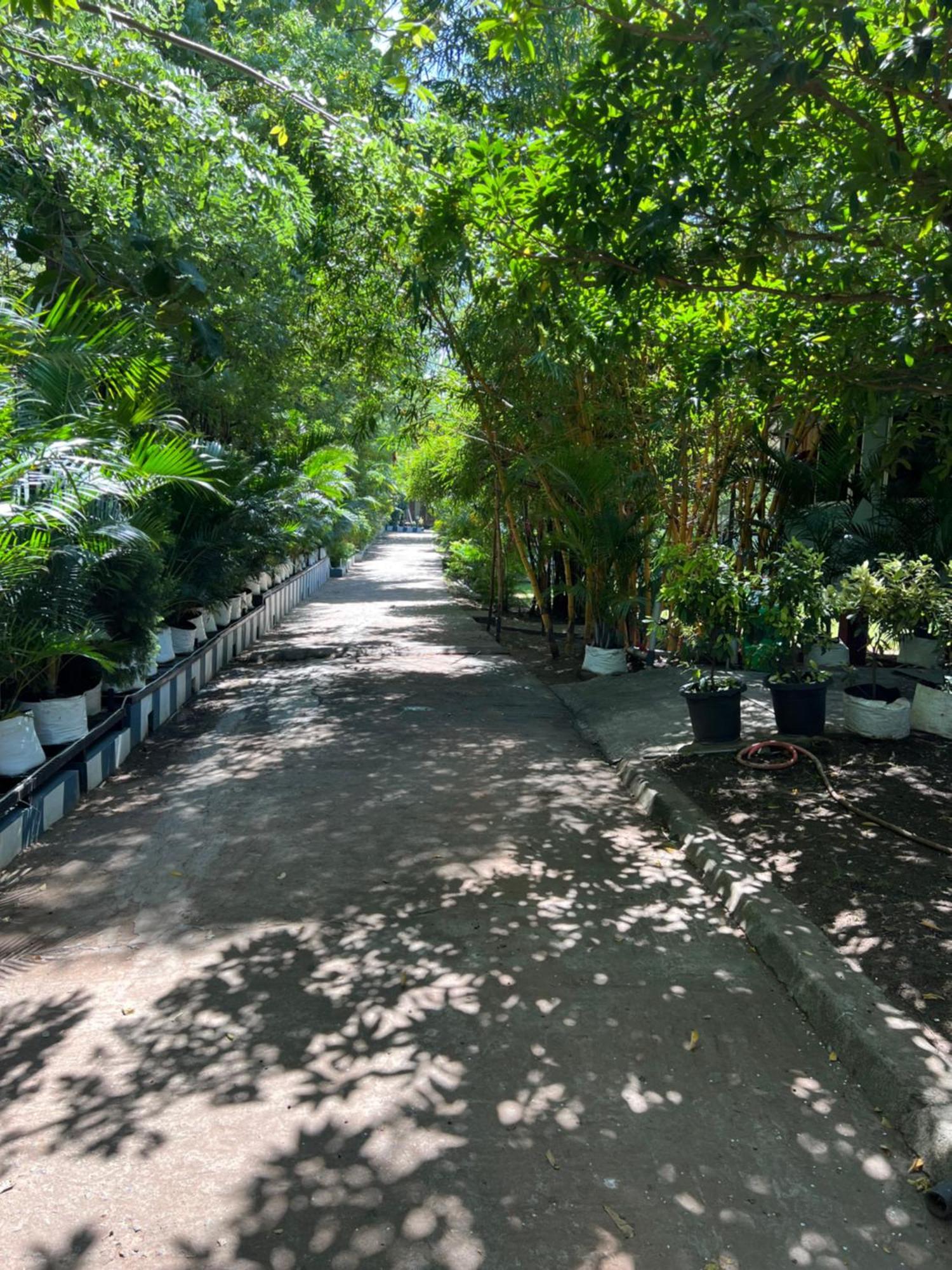 The Midway Jungle Resort Масинагуди Екстериор снимка